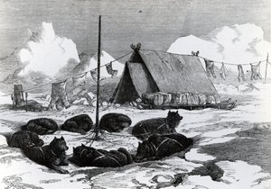 Sledge Travelling: Method of Fastening Dogs When Camping, 1876